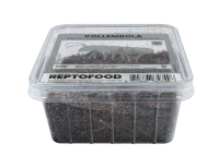 REPTO Food Springschwänze, Collembola (500ml Dose)