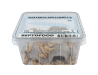 REPTO Food Wachsmottenlarven, Galleria mellonella, 35...