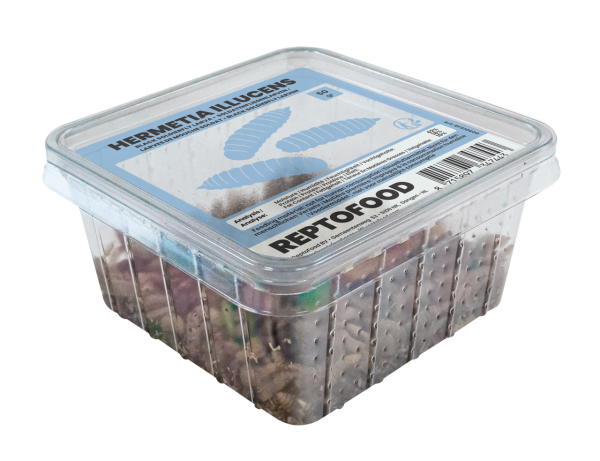 REPTO Food Soldatenfliegenlarven, Hermetia illucens, 50g (500ml Dose)