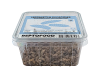REPTO Food Soldatenfliegenlarven, Hermetia illucens, 50g...