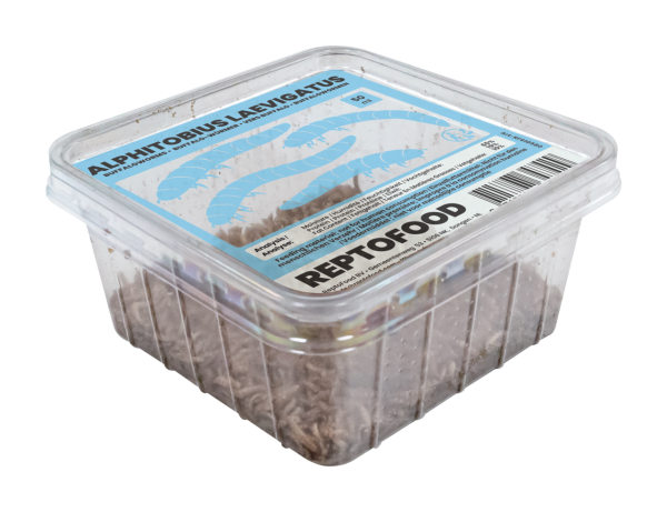 REPTO Food Buffalo Würmer, Alphitobius laevigatus, 50ml (500ml Dose)
