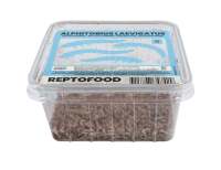 REPTO Food Buffalo Würmer, Alphitobius laevigatus,...