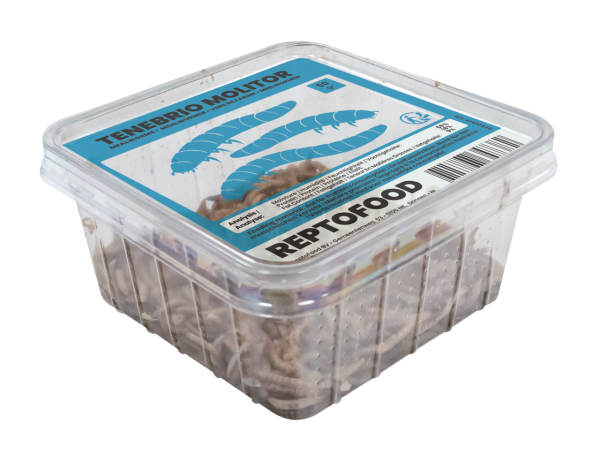 REPTO Food Mehlwürmer, Tenebrio molitor 50g (500ml Dose)