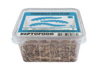 REPTO Food Mehlwürmer, Tenebrio molitor 50g (500ml...