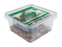 REPTO Food Heimchen, Acheta domestica (Gr. 8)