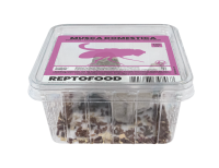 REPTO Food Kraus Fliegen, Musca domestica (500ml Dose)