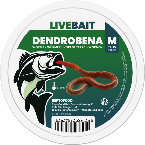 REPTO Food Dendrobena M, 12-15 Stück