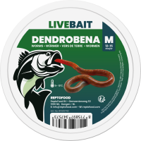 REPTO Food Dendrobena M, 12-15 Stück