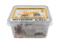 REPTO Food Wanderheuschrecken, Locusta migratoria, (M)...