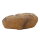 Hobby Mojave Cave M (22x16x7cm)