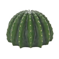 Hobby Cactus Home 2 (12,7x12,5x8cm)