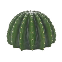 Hobby Cactus Home 3 (17,5x17x10,8cm)