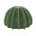 Hobby Cactus Home 3 (17,5x17x10,8cm)
