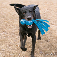 Kong Wubba Comet, L, diverse Farben