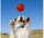 Bionic Ball M, 6,7cm