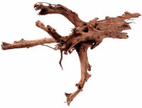 Hobby Mangrovenholz XXL (70-90cm)