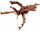 Hobby Mangrovenholz XXL (70-90cm)