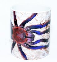Kaffeebecher "Chilobrachys spec. VIETNAM BLUE"