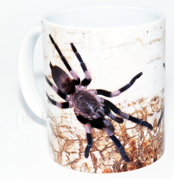 Kaffeebecher "Haplocosmia himalayana"