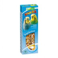 Nestor Kolba, Wellensittich, mit Kokosnuss, Banane &...
