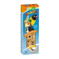 Nestor Kolba, Grosssittich, mit Kokosnuss & Banane...