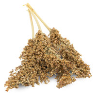 JR FARM Dari- Ernte 80g