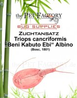 The Pet Factory Zuchtansatz Triops cancriformis - Beni...