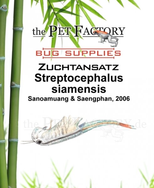 The Pet Factory Zuchtansatz Streptocephalus siamensis