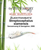 The Pet Factory Zuchtansatz Streptocephalus siamensis