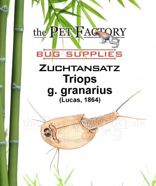 The Pet Factory Zuchtansatz Triops g. granarius