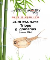 The Pet Factory Zuchtansatz Triops g. granarius