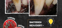 QCHEFS Zahnputzkohle Hund 80g