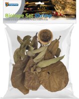 Superfish Biotope Set "Shrimp"