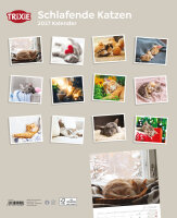 Trixie Kalender Schlafende Katzen