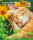 Trixie Kalender Schlafende Katzen