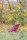 Trixie Geschirr-Wintermantel Pirou, M: 45cm, sangria