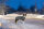 Trixie Mantel Limoux, L: 62cm, steingrau