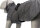 Trixie Mantel Limoux, L: 62cm, steingrau
