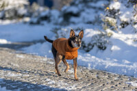 Trixie Pullover CityStyle Berlin, S:36 cm, rost