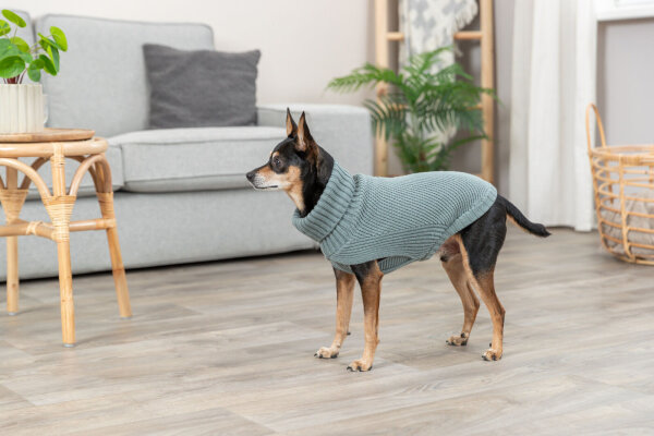 Trixie Pullover CityStyle Berlin, S:33 cm, salbei