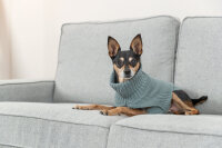 Trixie Pullover CityStyle Berlin, S:33 cm, salbei