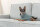 Trixie Pullover CityStyle Berlin, S:33 cm, salbei