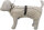 BE NORDIC Regenmantel Husum, L:55cm, sand