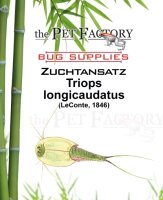 The Pet Factory Zuchtansatz Triops longicaudatus