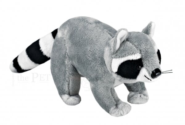 Kuschel Waschbär 26cm