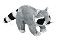 Kuschel Waschbär 26cm