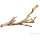 Exo Terra Forest Branch, klein 30cm