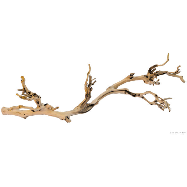 Exo Terra Forest Branch, groß, 60cm