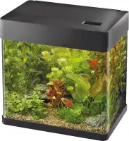Superfish Panorama 50 LED, schwarz