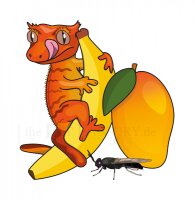 Blue River DIETS Fruit and Bugs 60g